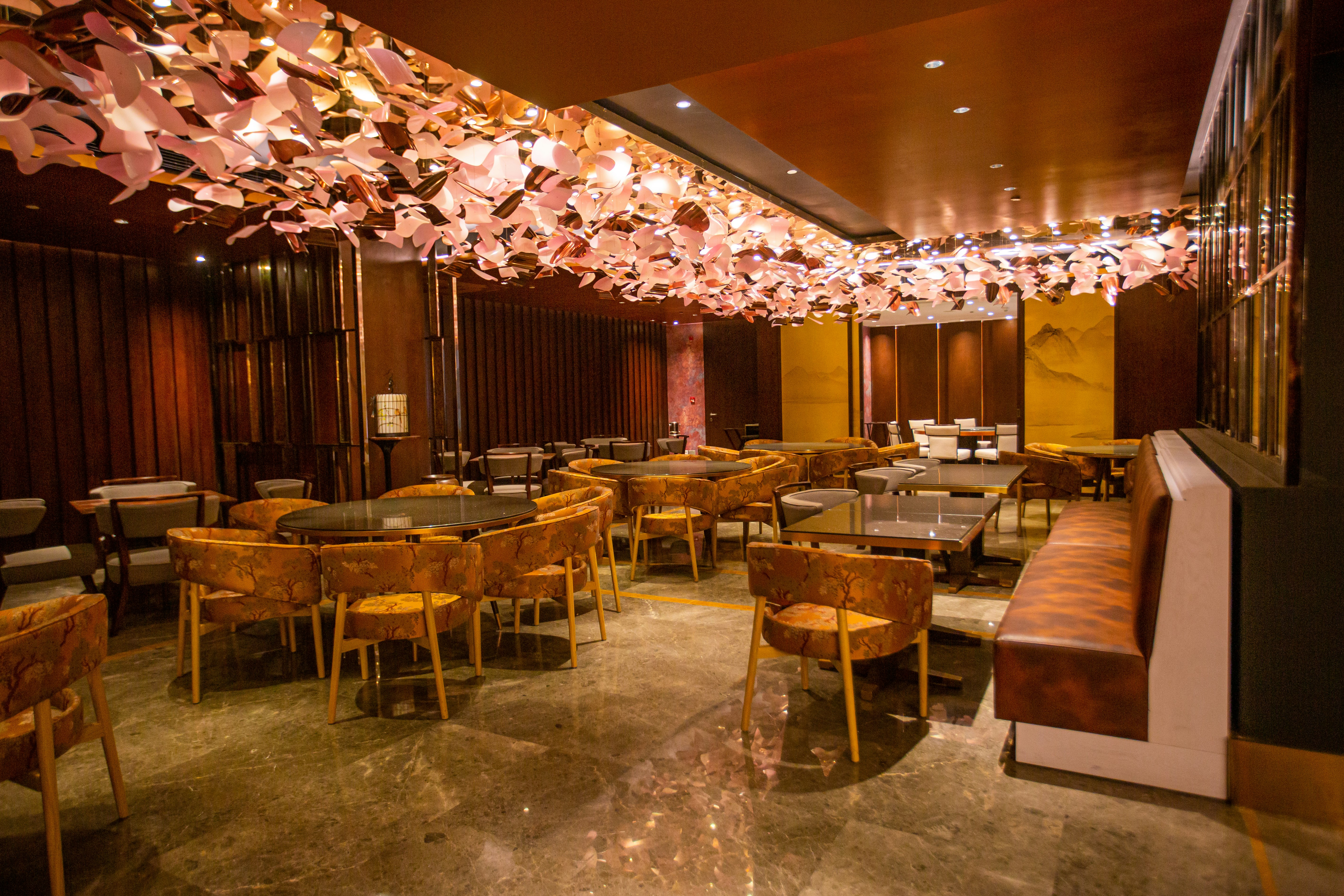 Johari Rotana 49/66