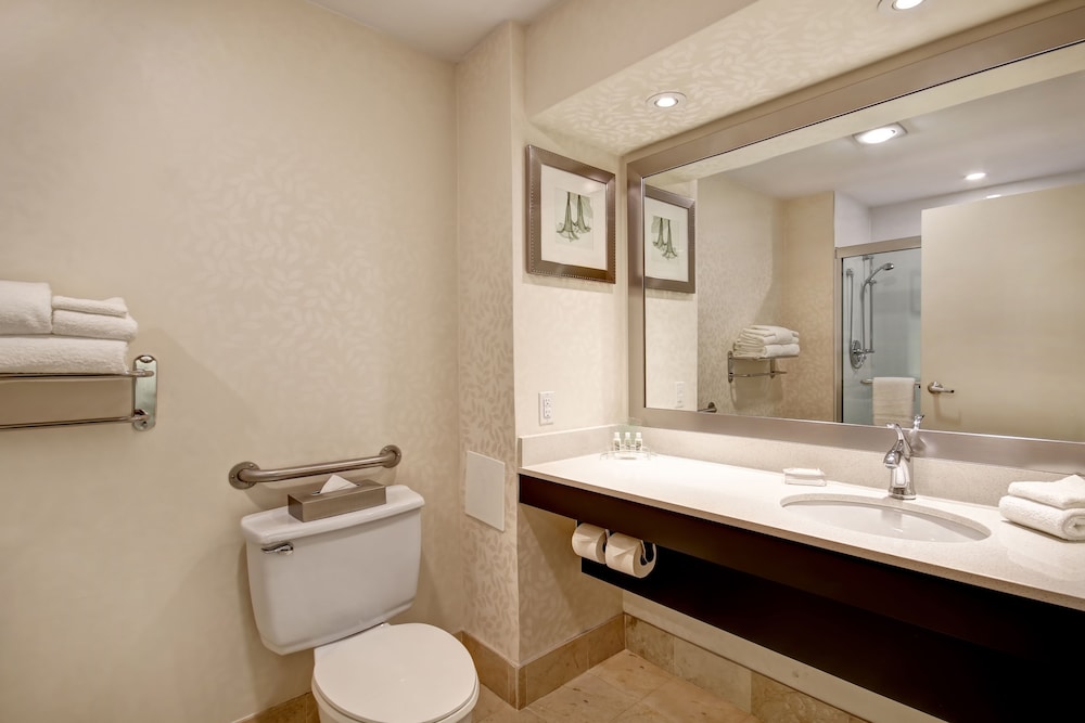 Holiday Inn Suites Windsor Ambassador Bridge 15/72