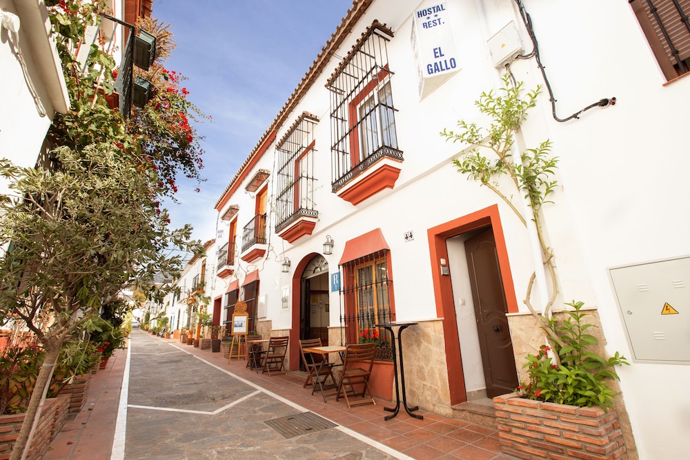 Hostal Apartamentos El Gallo 21/23