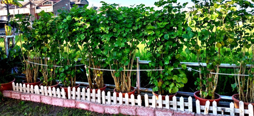 Evergreen Garden Home 43/50