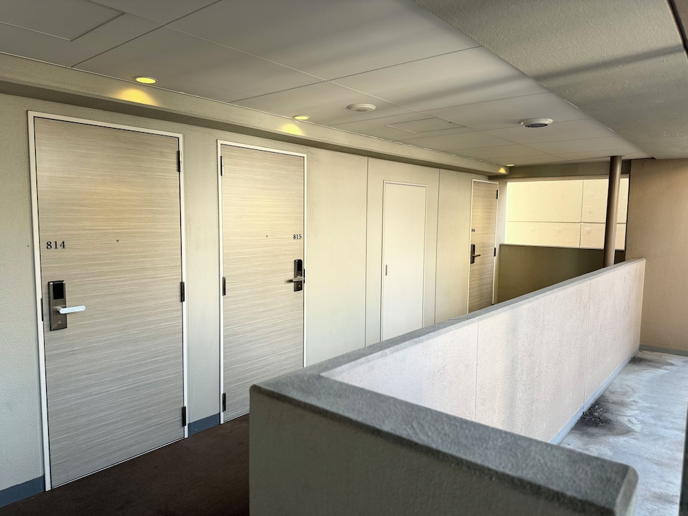 Sotetsu Fresa Inn Tokyo Kyobashi 5/50