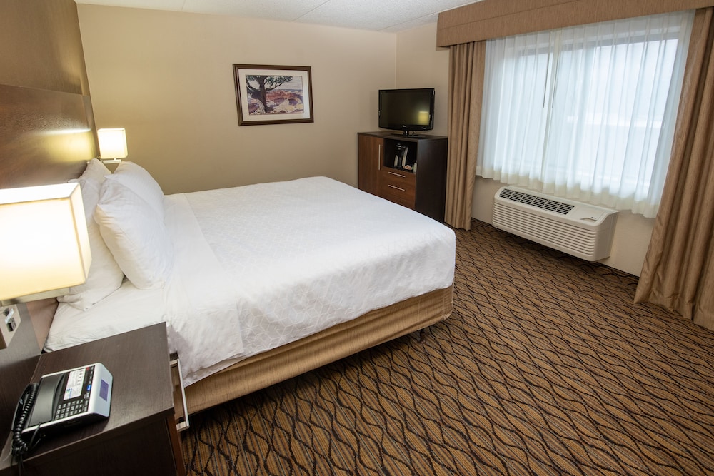 غرفة قياسية بسرير كينج لذوي الإعاقة، Grand Canyon Hotel and Suites 2/4