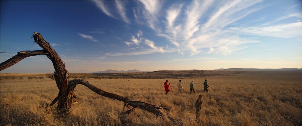 Lewa Safari Camp 35/50