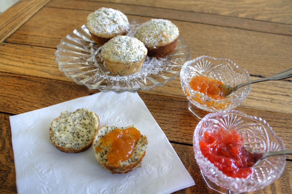 Los Gatos Bed & Breakfast 13/50