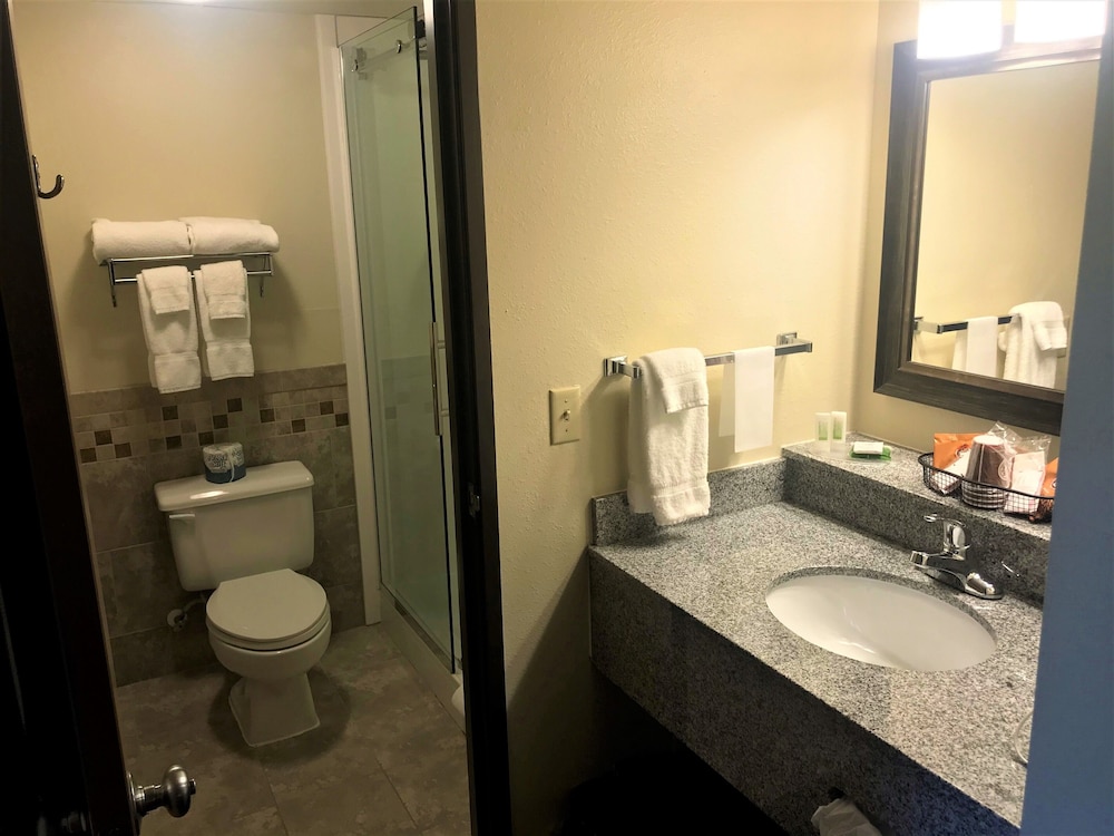 Americinn By Wyndham Sauk Centre 17/73