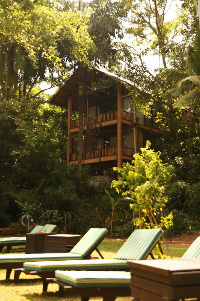Jungle Village By Thawthisa photo5