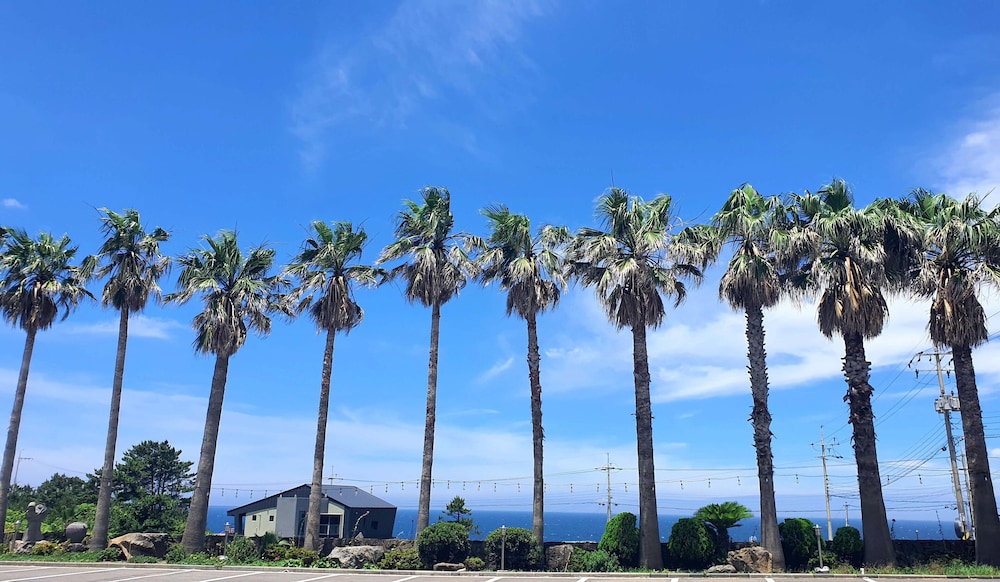Sea Cliff Hotel Jeju 65/69