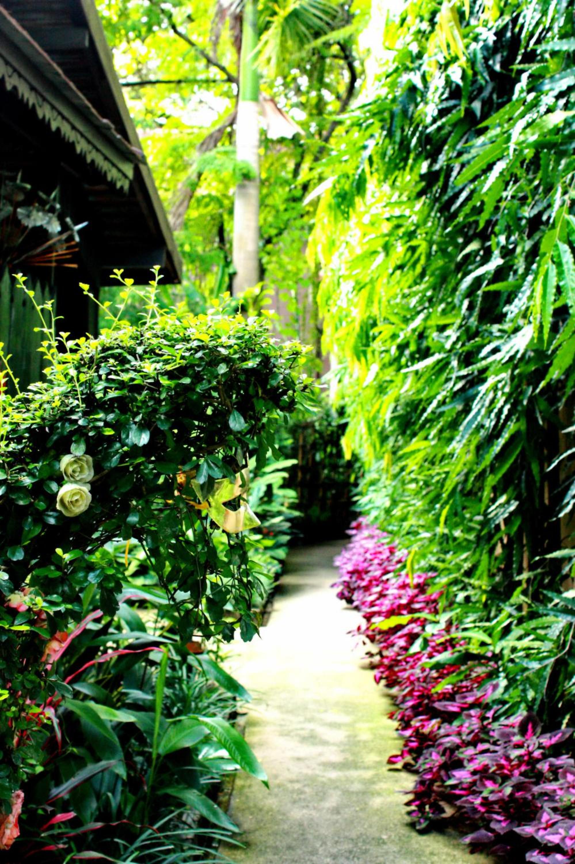 Club One Seven Gay Men Hotel Chiang Mai 37/51