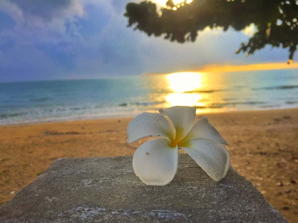 Khanom Golden Beach Hotel 54/59