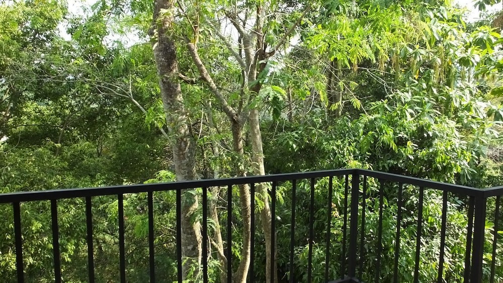Villa Arunalu Kandy 31/42