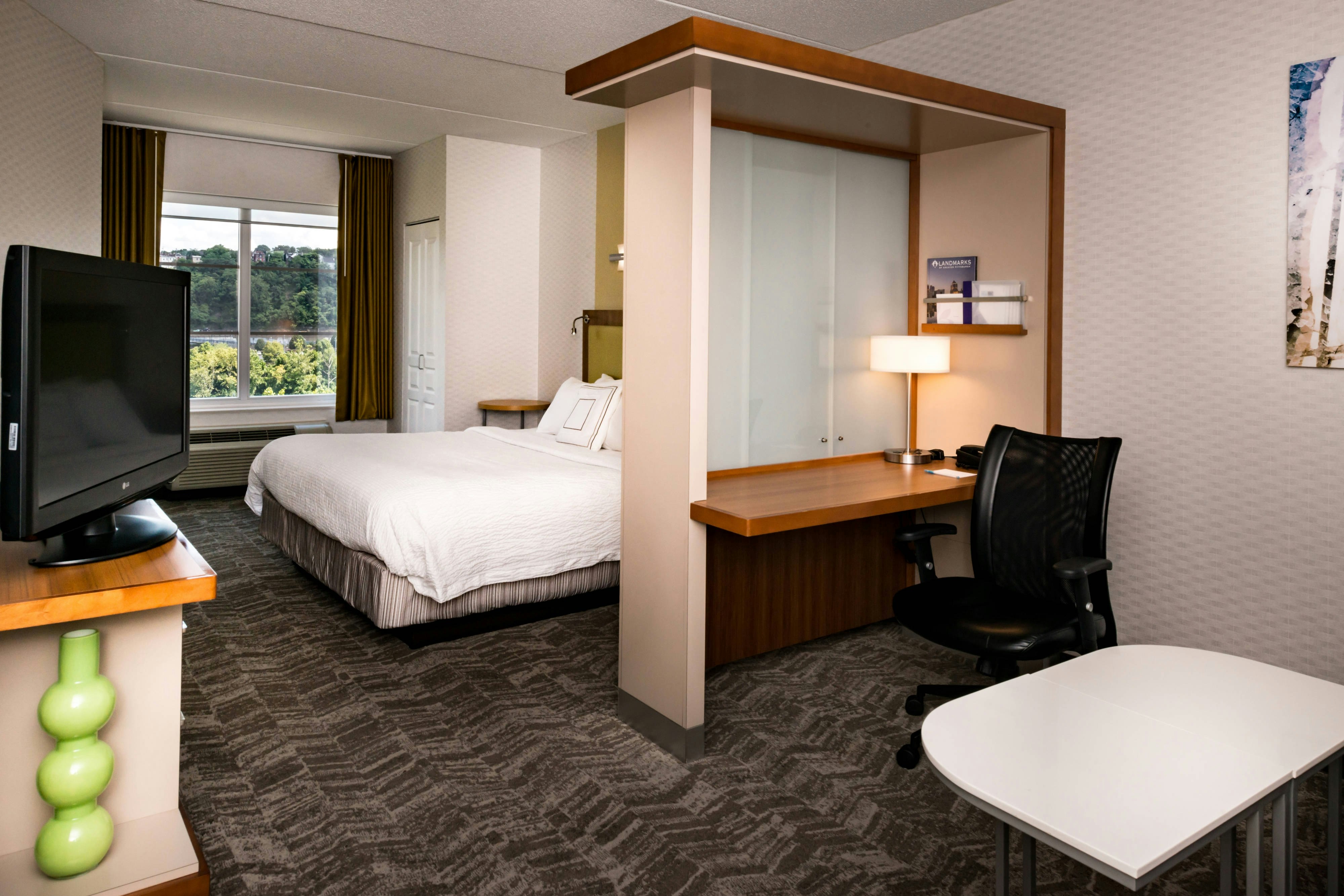 Springhill Suites Pittsburgh Southside Works 33/33
