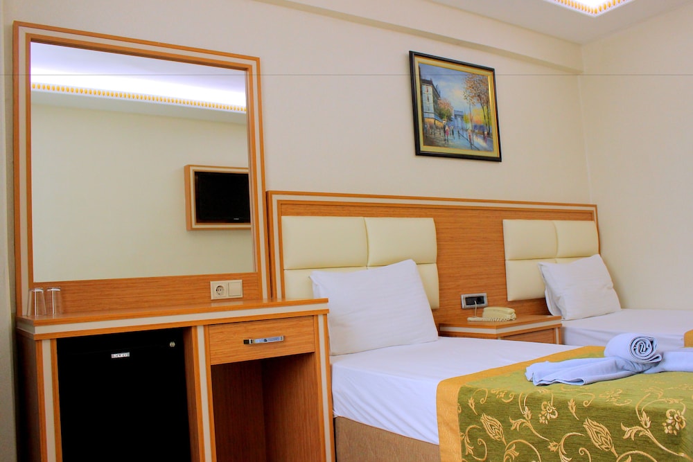 Hotel Buyuk Paris 14/50