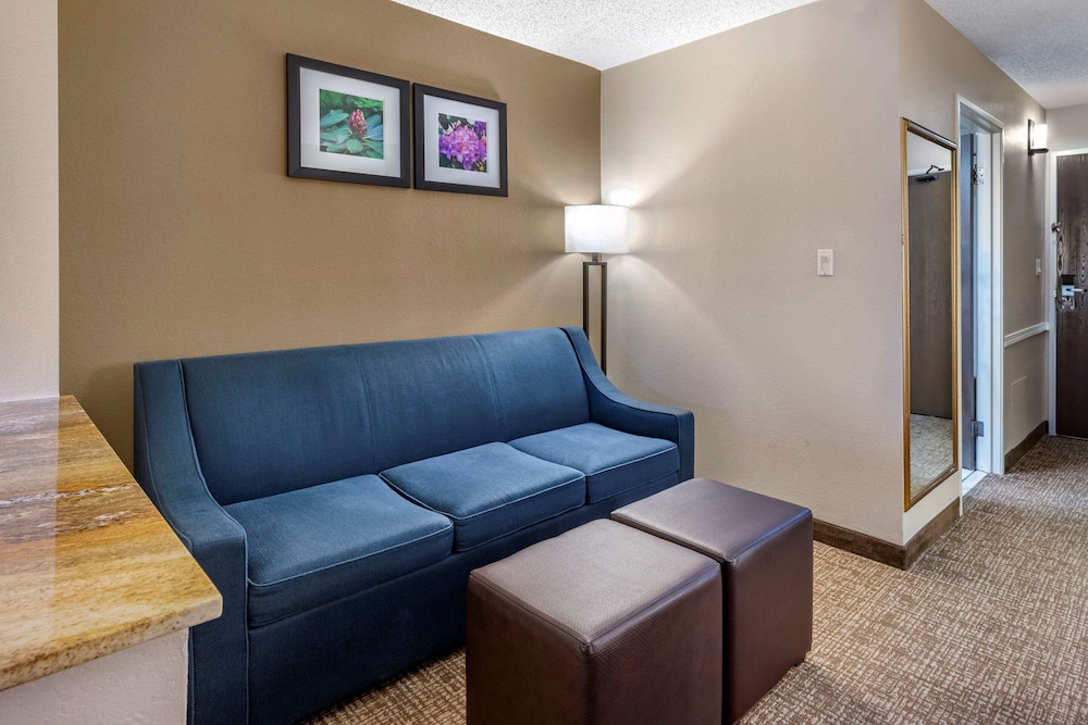 Comfort Inn & Suites Kelso - Longview 27/40