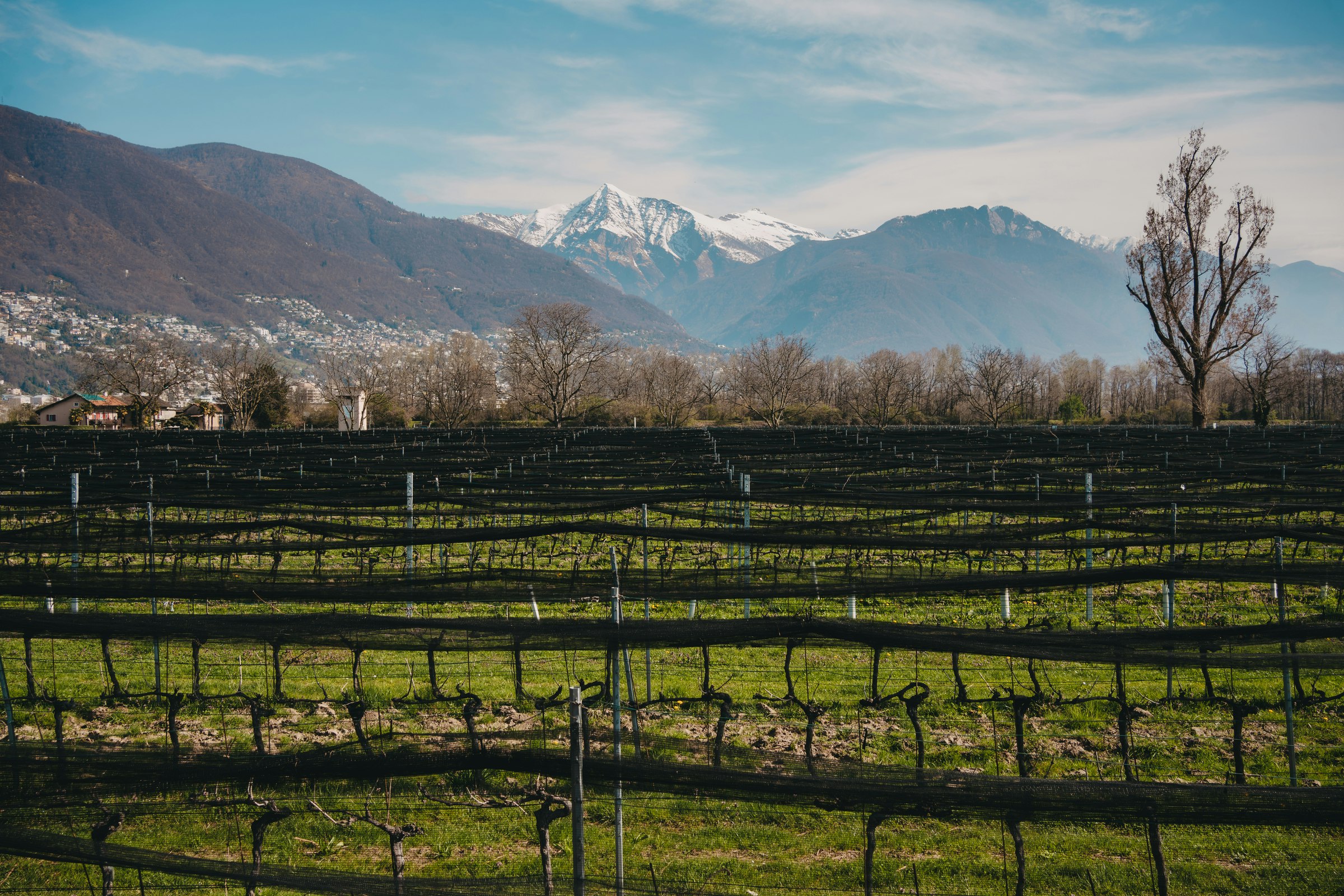 Castello Del Sole Ascona 35/50