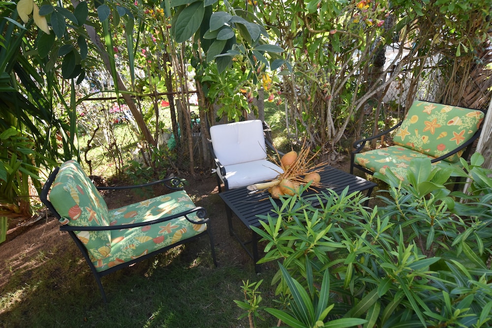 THE SUGAR APPLE BED AND BREAKFAST 34/50