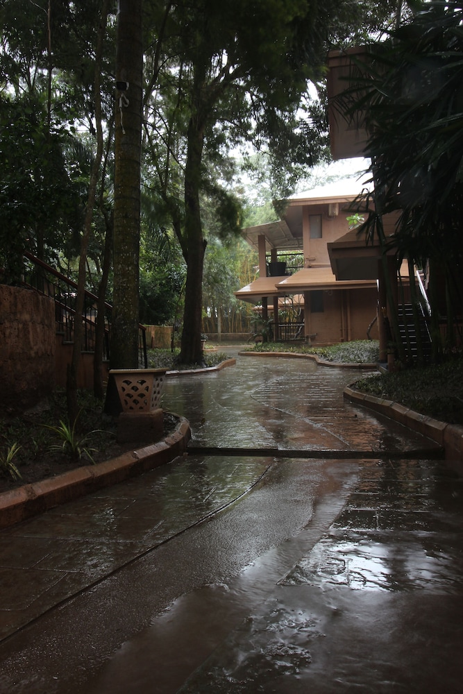 Regenta Jungle Resort Kabini Springs 21/50