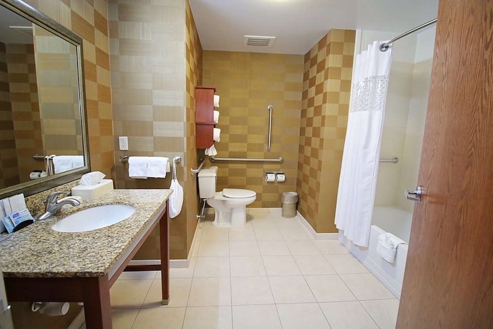 Hampton Inn Detroit North Auburn Hills 15/45