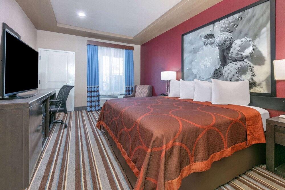 Studio, Suite, King Bed