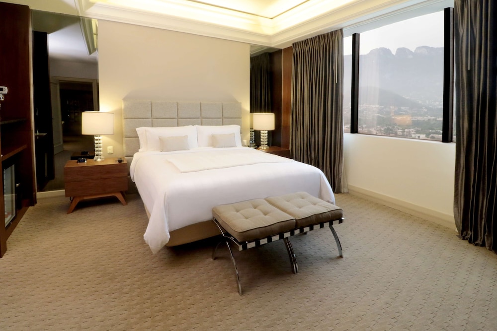 MS Milenium Monterrey Curio Collection by Hilton 16/77