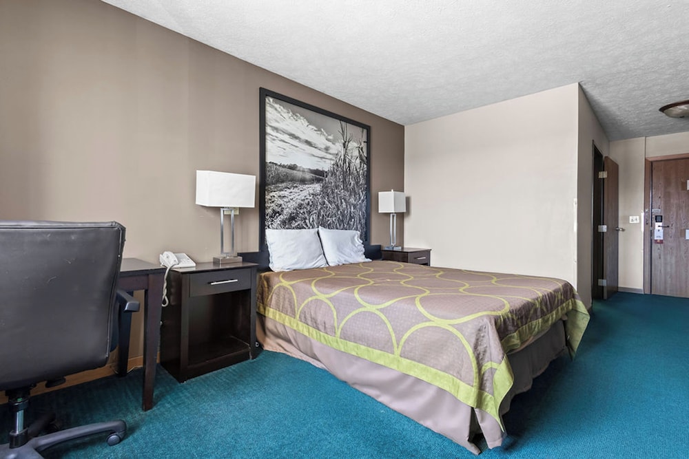 Room, King Bed