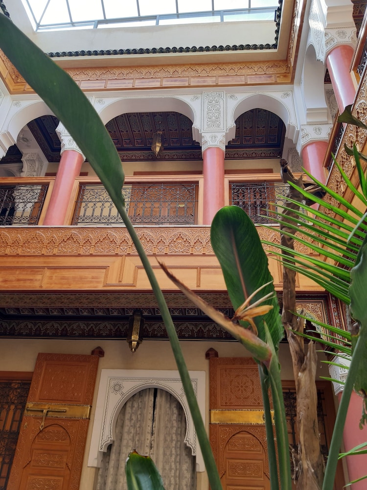Riad Miral 3/50
