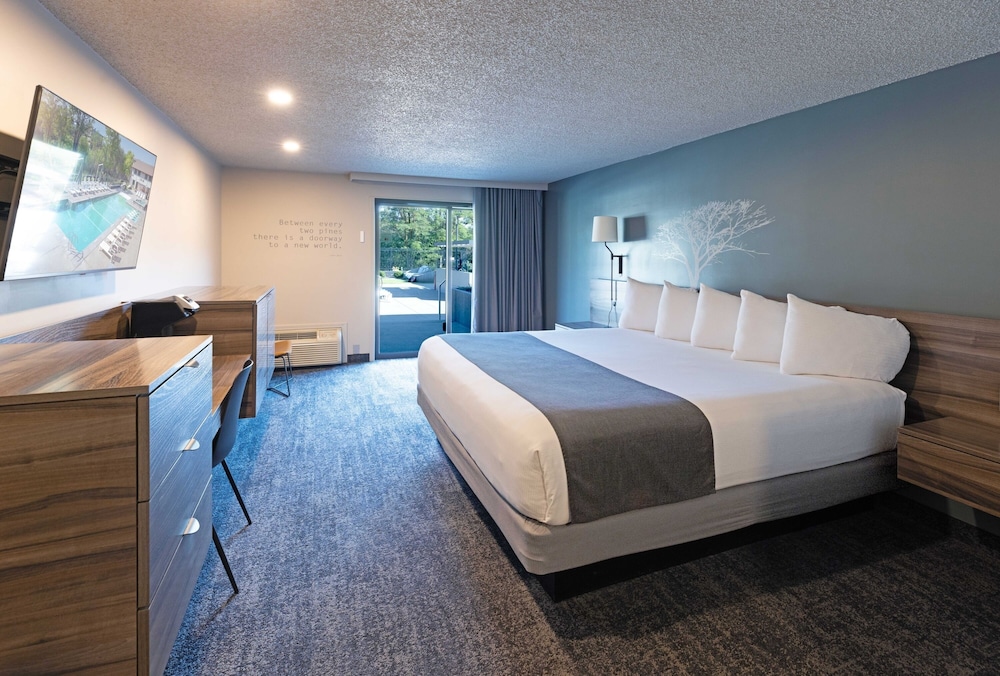Room, Single, King Bed, Pool Side