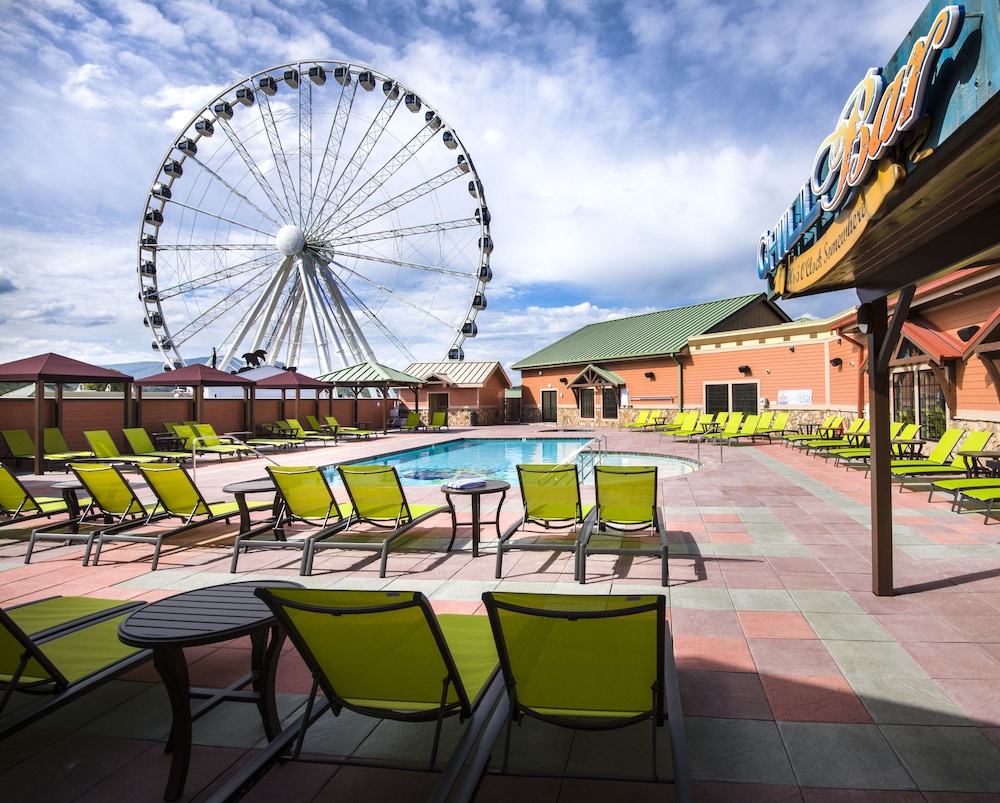 Margaritaville Island Hotel 5/39