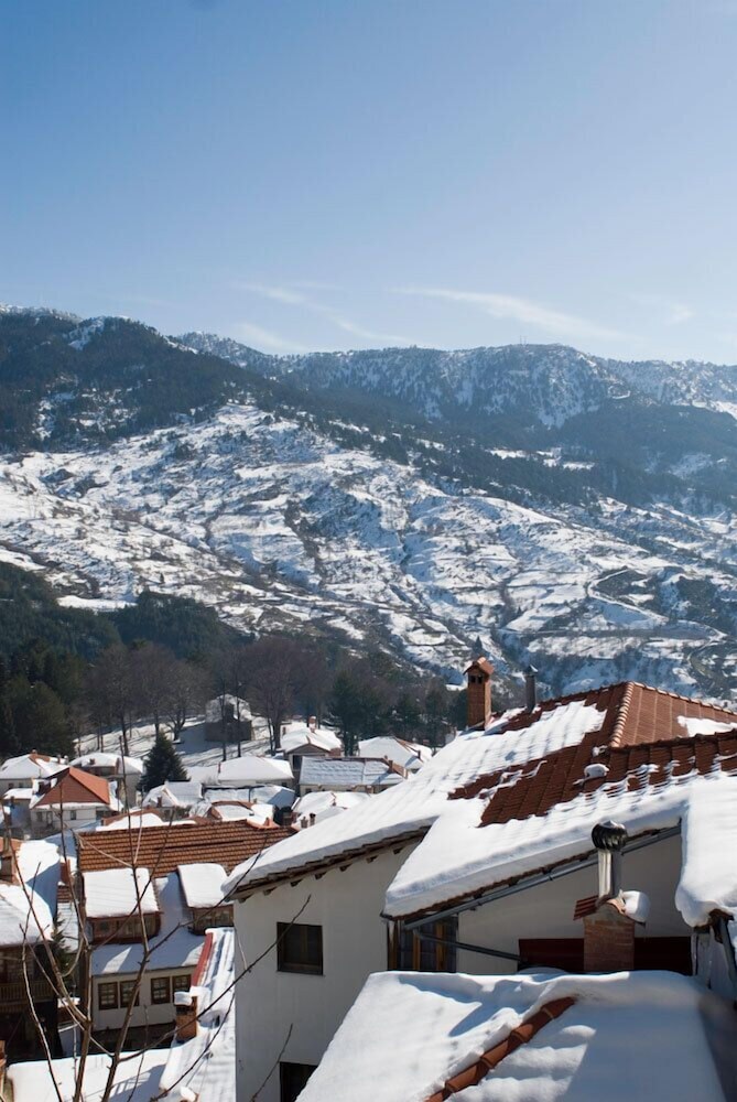 Asteri Metsovo 30/36
