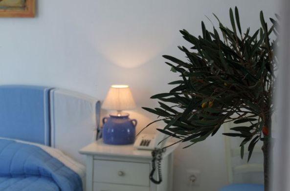 Hotel Anthousa 48/71