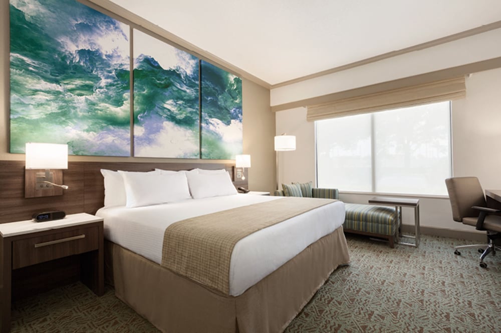 جناح بسرير كينج لذوي الإعاقة، Buena Vista Suites 4/8