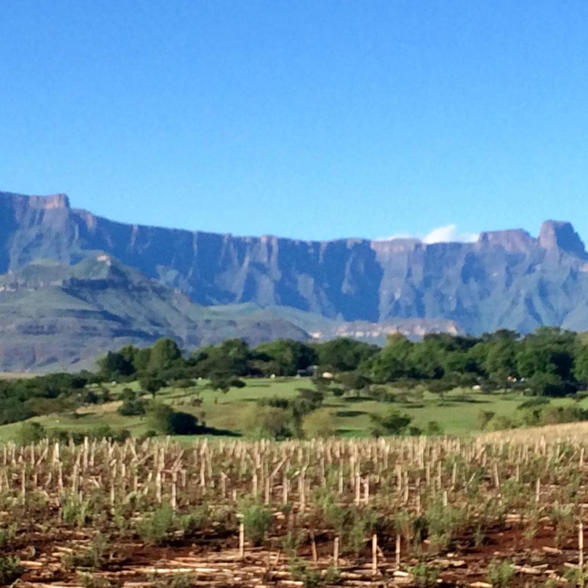Hlalanathi Berg Resort 44/50