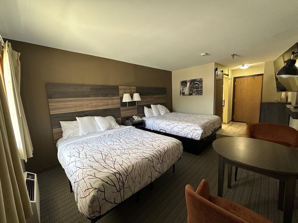 غرفة قياسية بسريرين كوين بشرفة، Roosevelt Inn Mount Rushmore 5/8