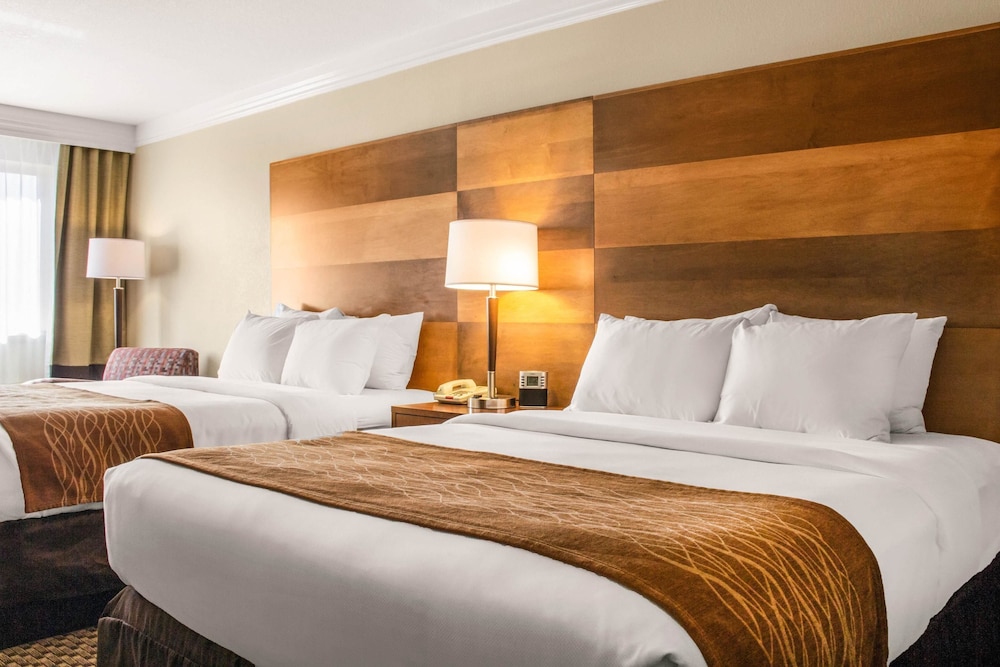 Comfort Inn & Suites Durango, CO 21/53