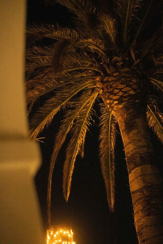 Hotel Villa Delle Palme 44/50