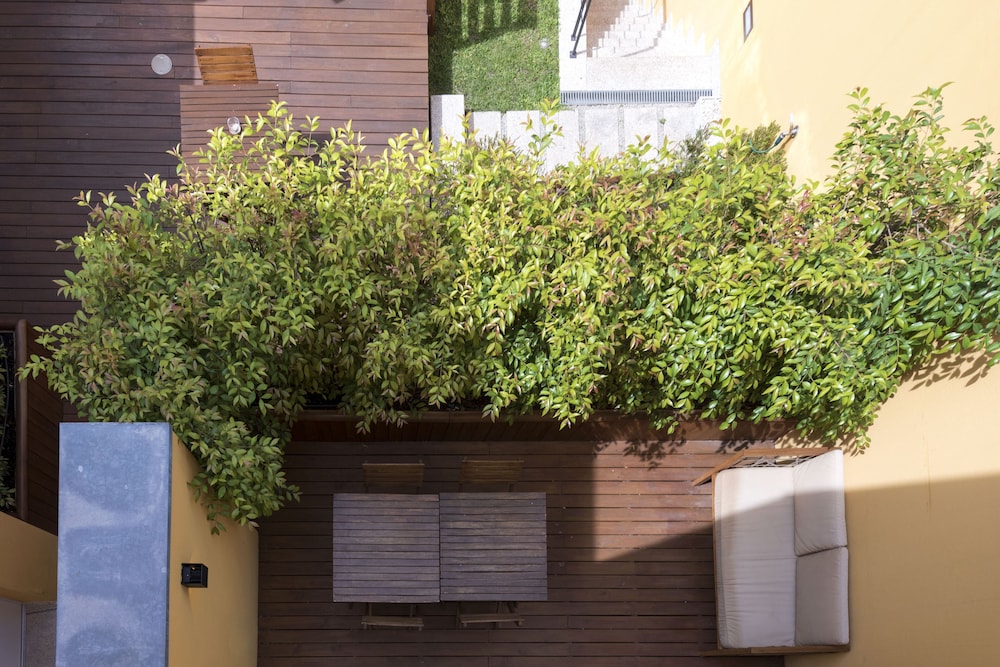 Bloom House by Sweet Porto 38/47