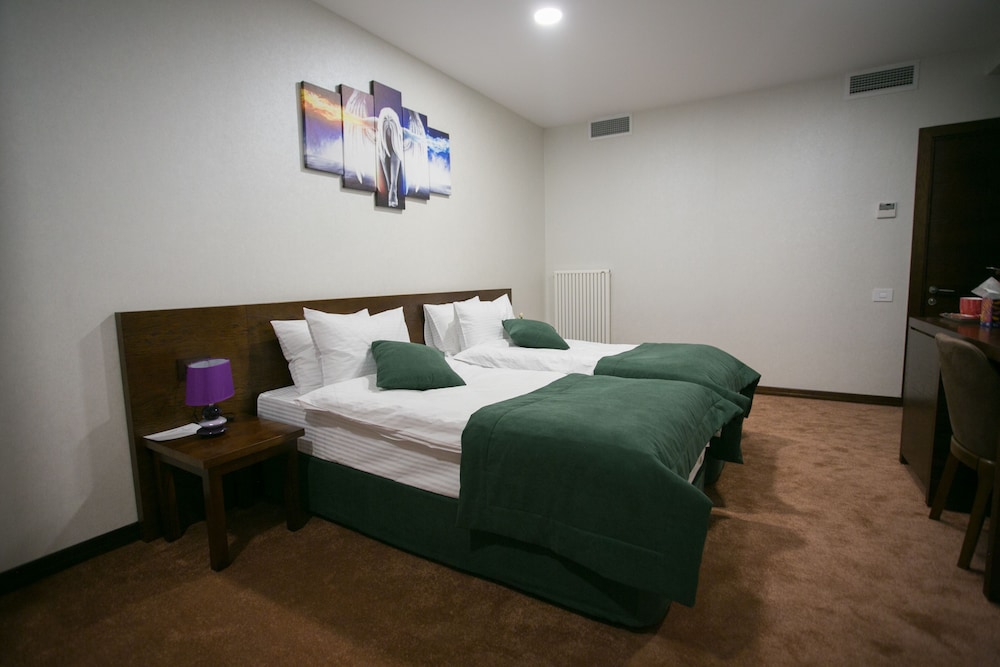 Da Vinci Hotel 18/50