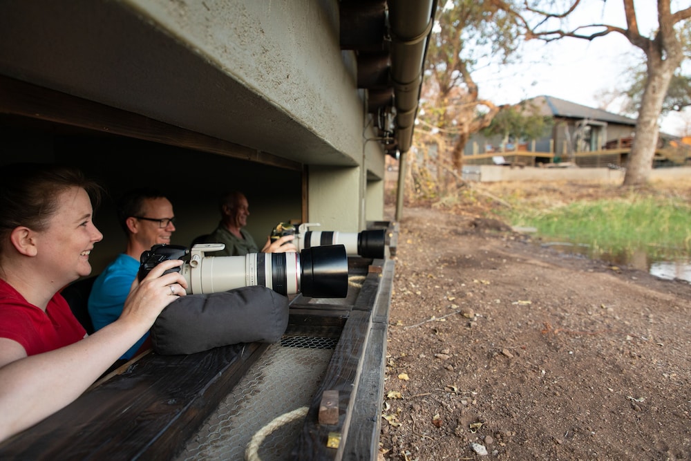 Antares Bush Camp & Safaris 5/50