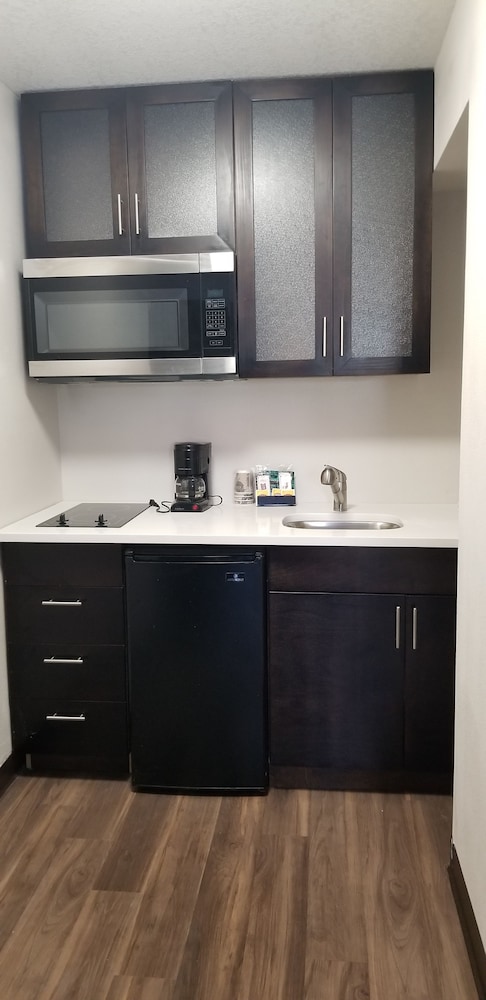 Hotel South Tampa and Suites 12/35