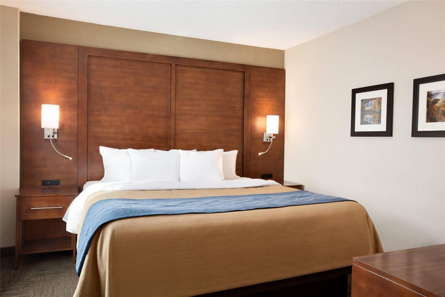 Comfort Inn and Suites Presidential 7/33