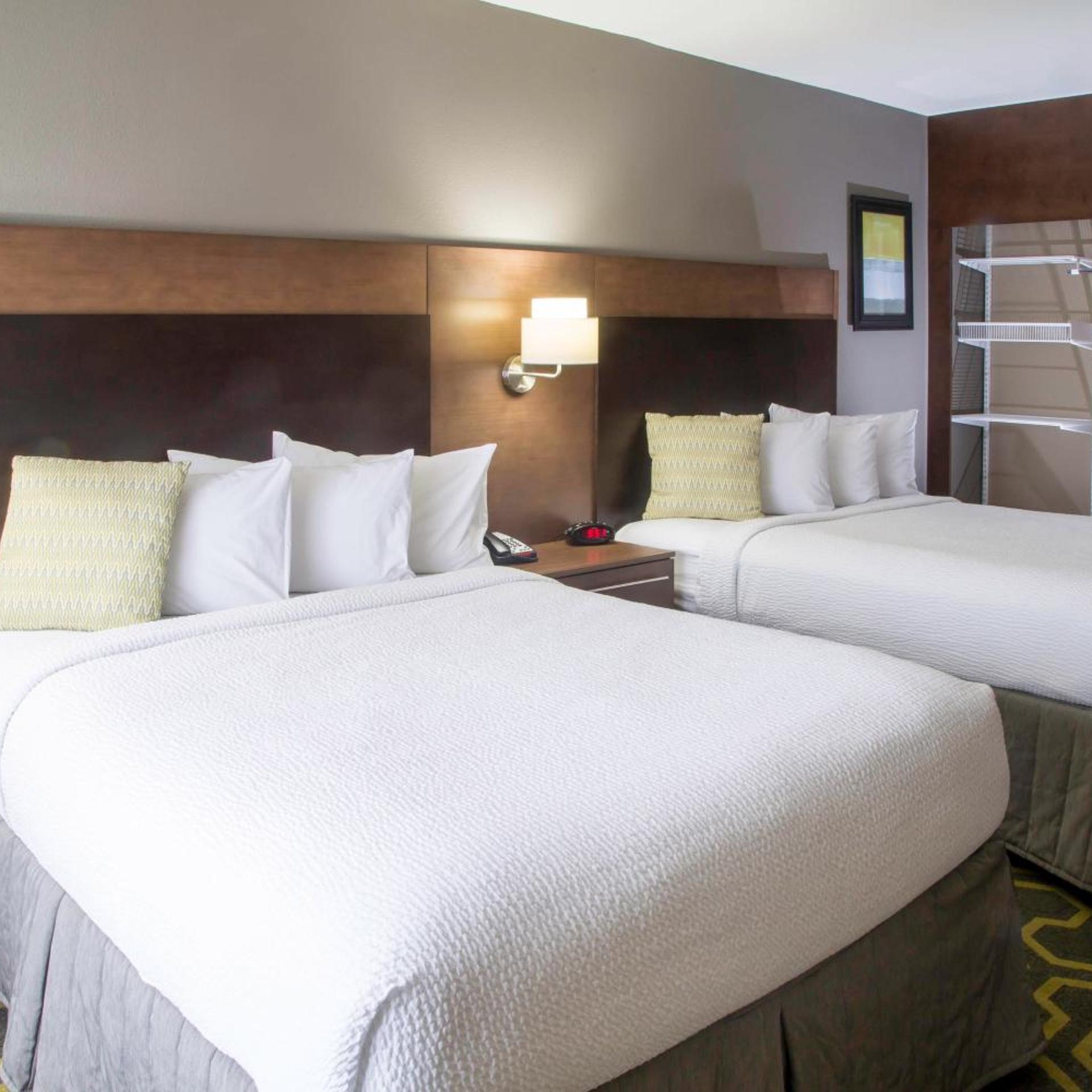 1 Bedroom, Suite, 1 King or 2 Queen Beds