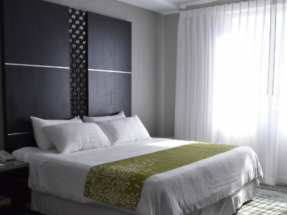 Hotel Araiza San Luis 17/74