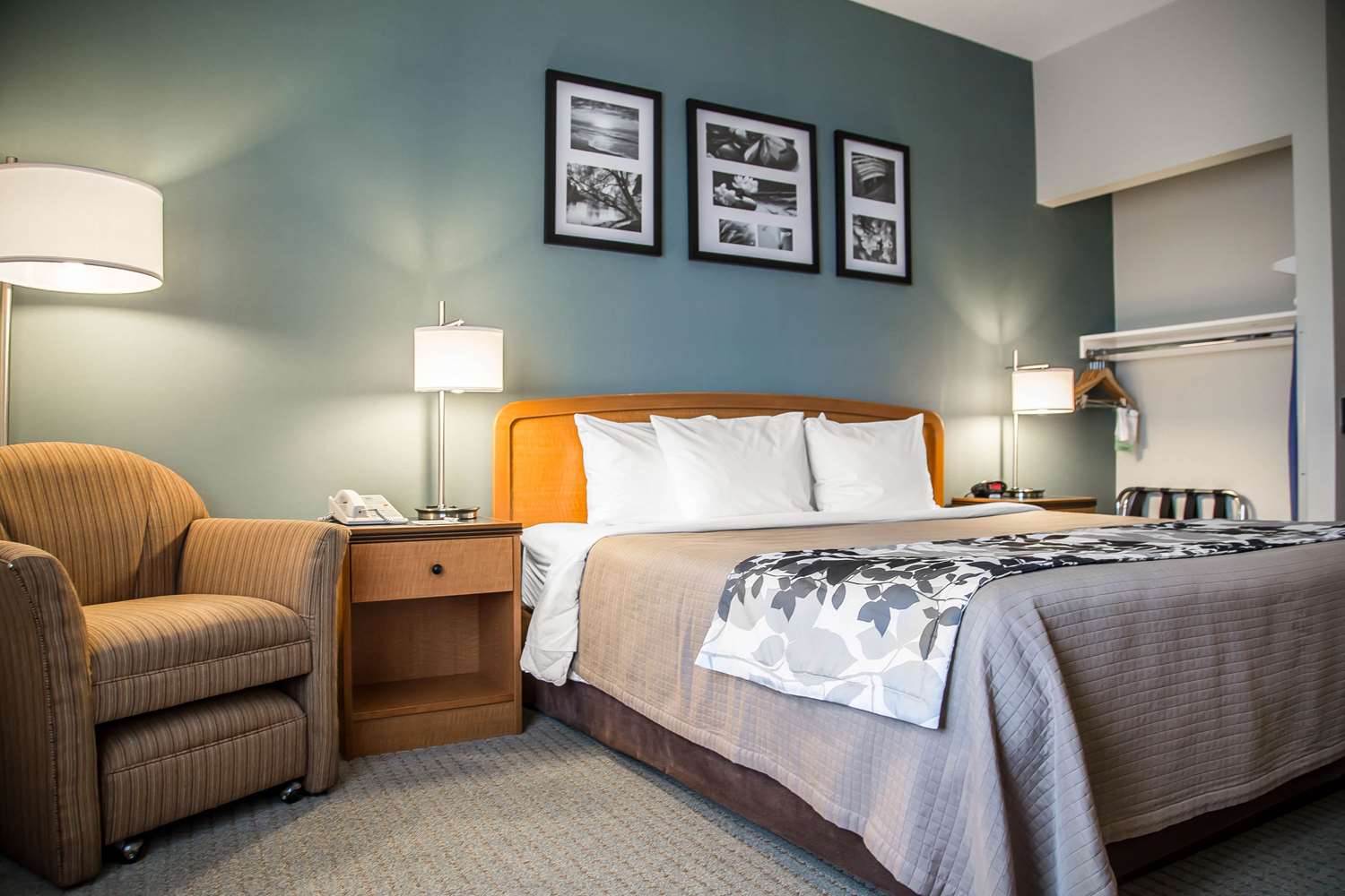 Sleep Inn & Suites Davenport - Quad Cities 3/19