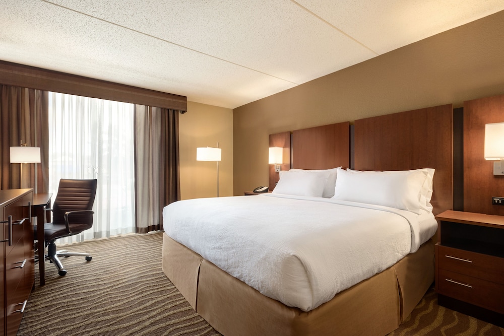 1 Bedroom, Suite, King Bed, Living Area