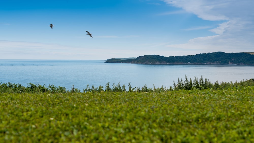 Carlyon Bay Hotel 62/64