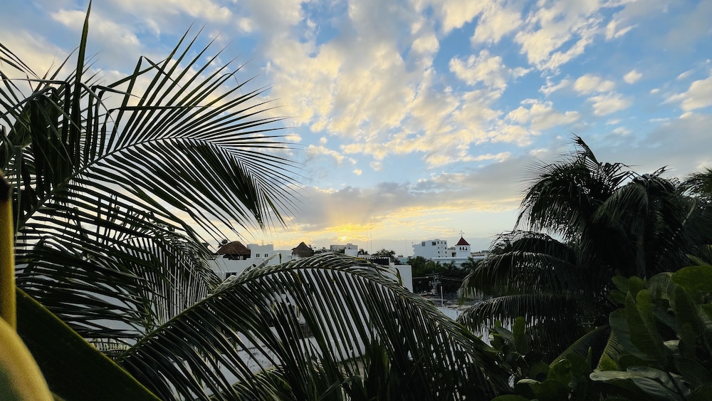 HOTEL PLAYA DEL KARMA 37/54