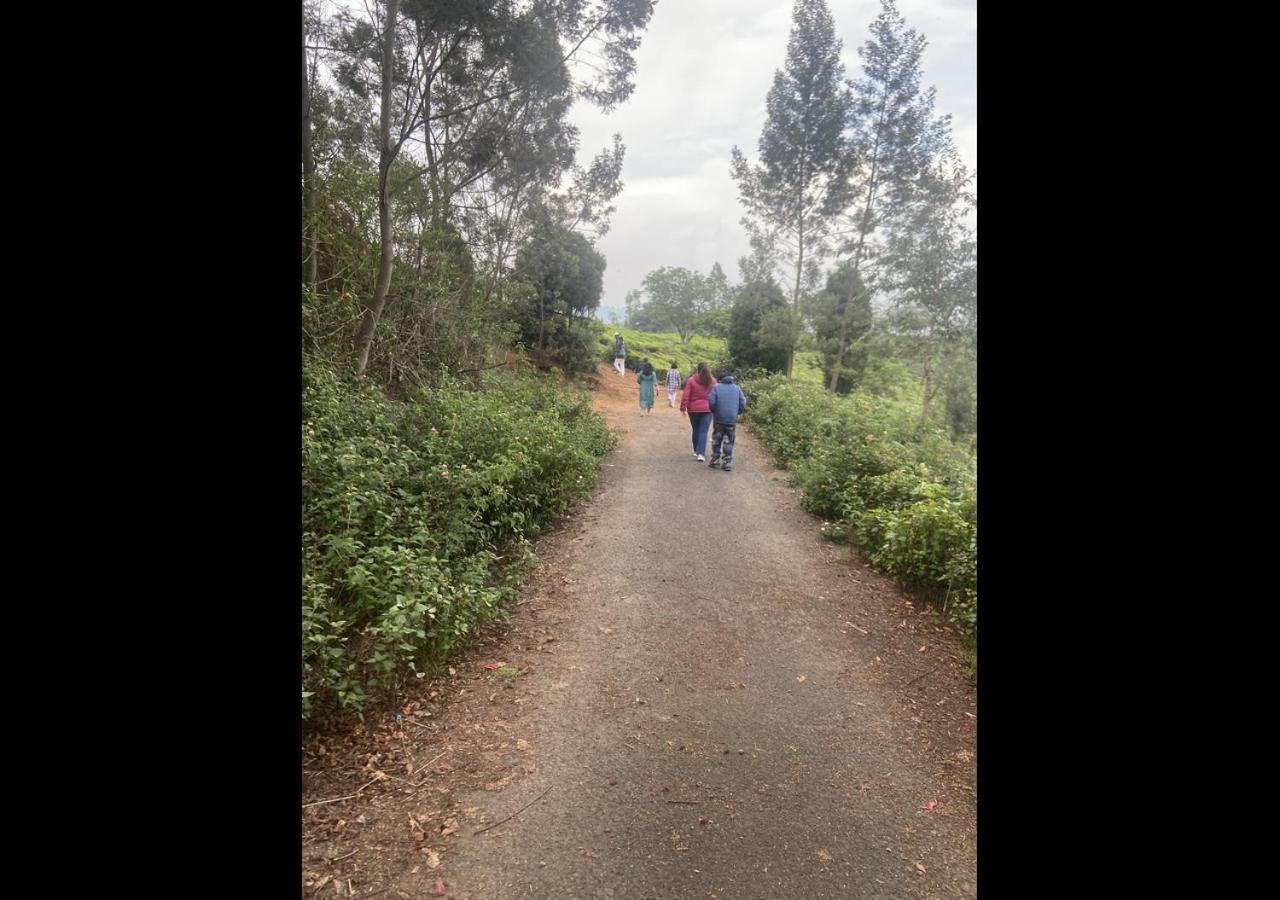Teanest – Nature Resorts, Coonoor 50/57