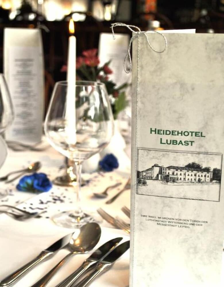 Heidehotel Lubast 11/33