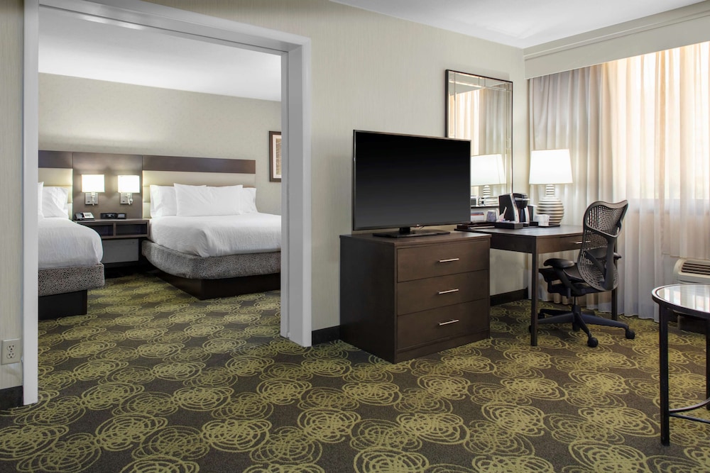Hilton Garden Inn Reagan National Airport 18/72