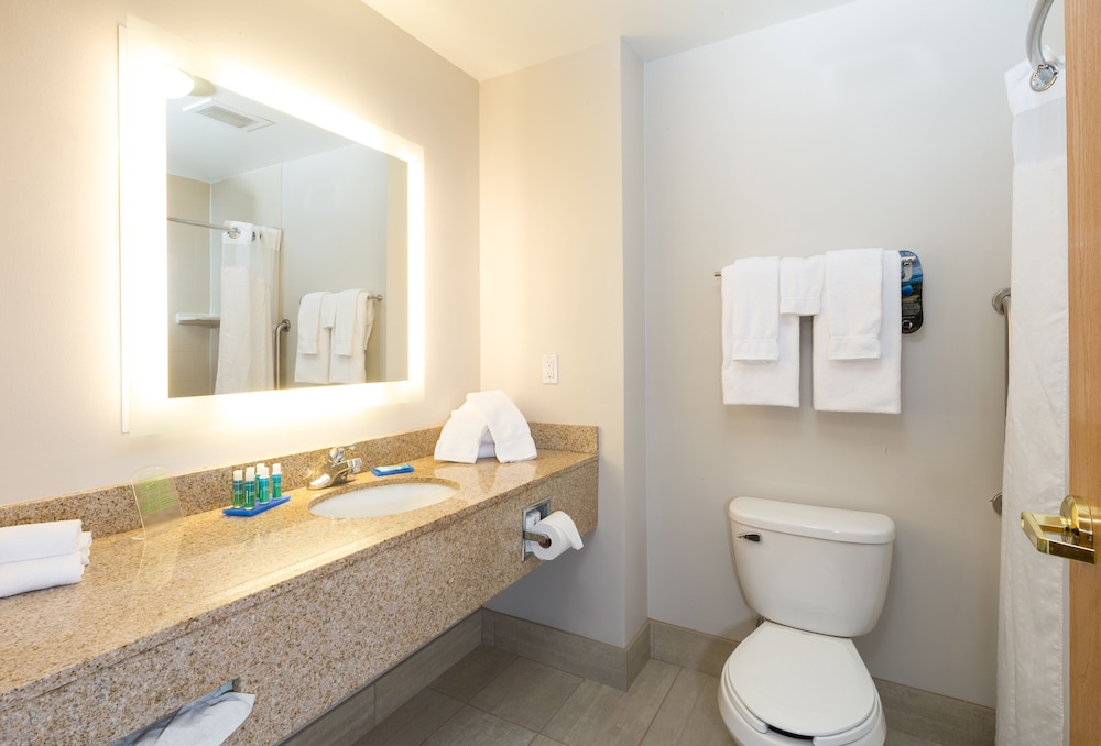 Holiday Inn Express Hotel Suites Detroit Utica 15/54