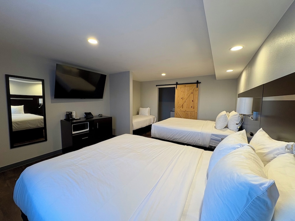 Room, 1 Single and 2 Queen Beds